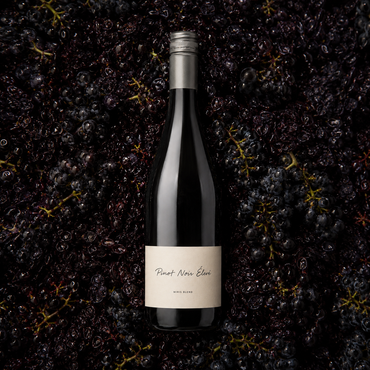 Pinot Noir Élevé